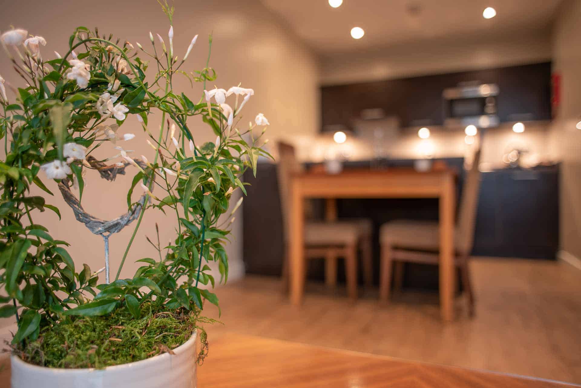 Decorative plant displayed at PREMIER SUITES Manchester apartment with dining table and kitchen in the background