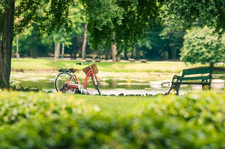 A Bike situated in a Green Park