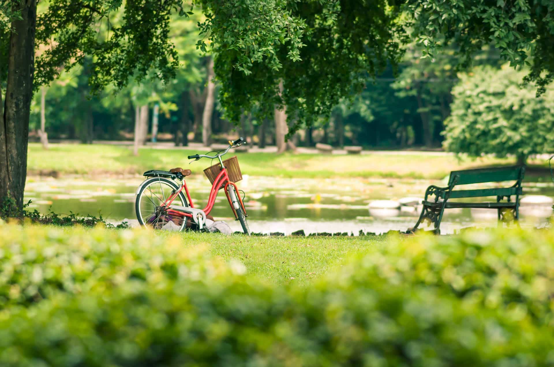 Ein Fahrrad, das in einem grünen Park steht