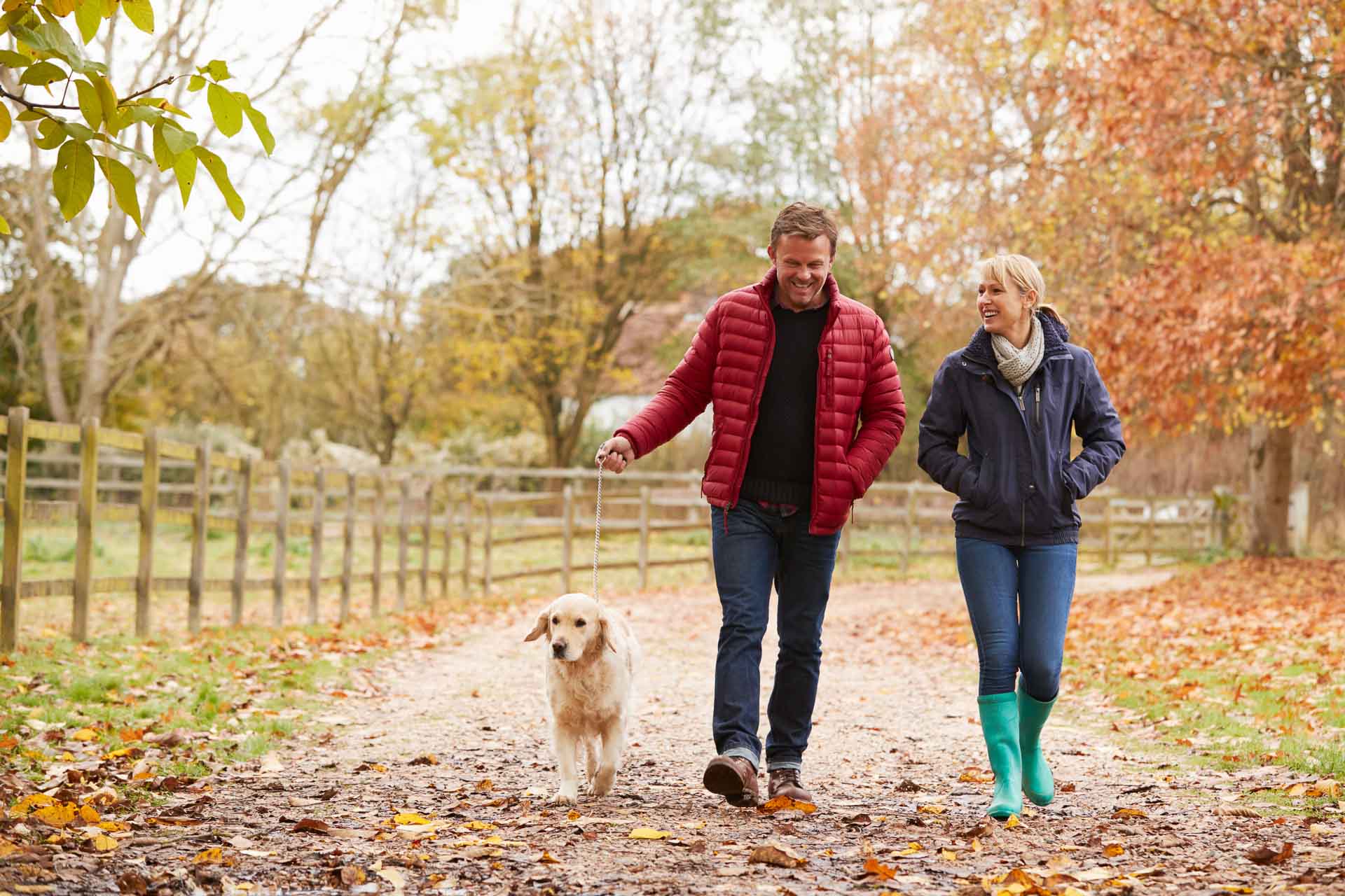 Ehepaar auf Herbstspaziergang mit Labrador