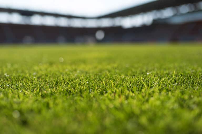 Gras bij een leeg voetbalstadion