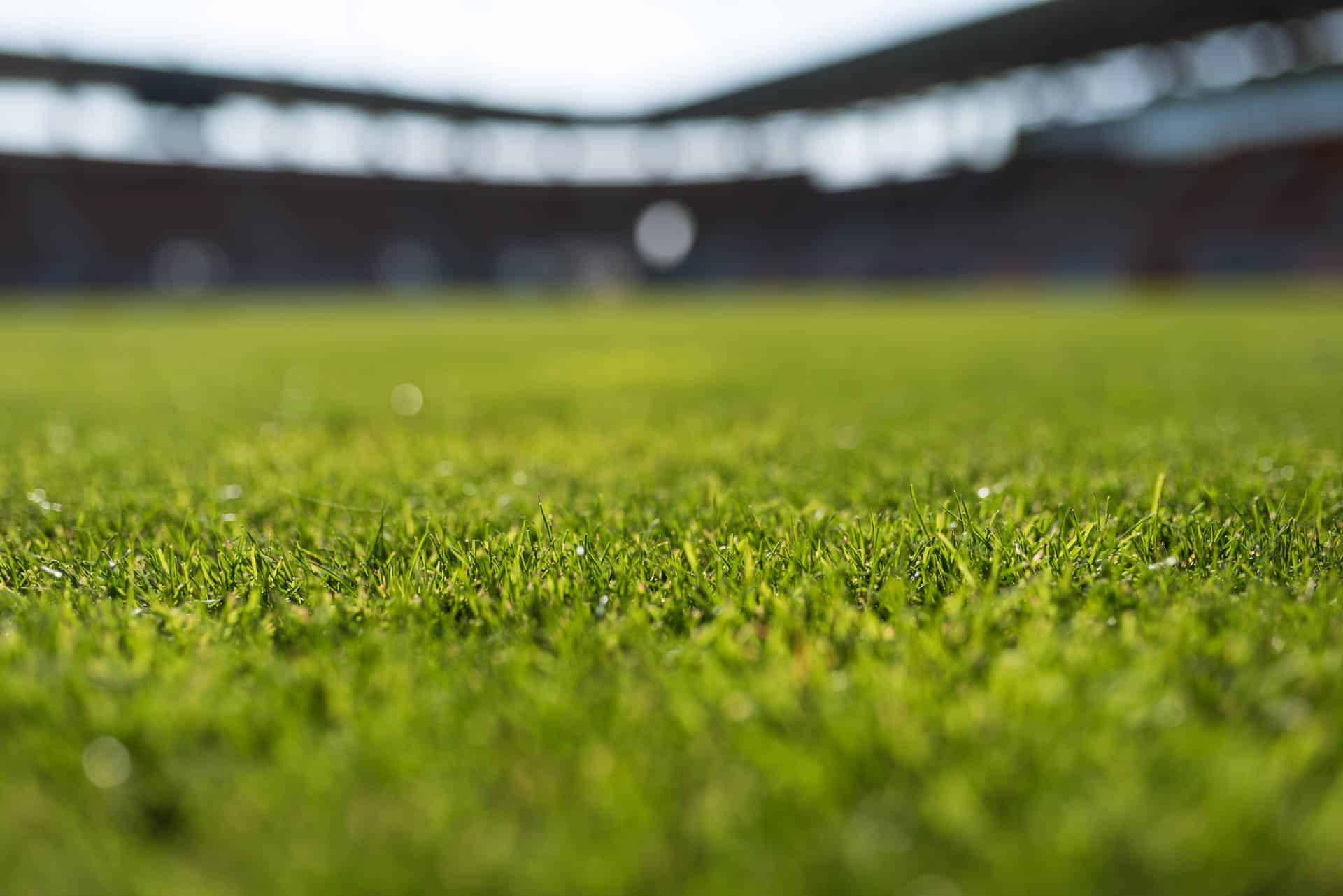 Grass at an empty at Football Stadium