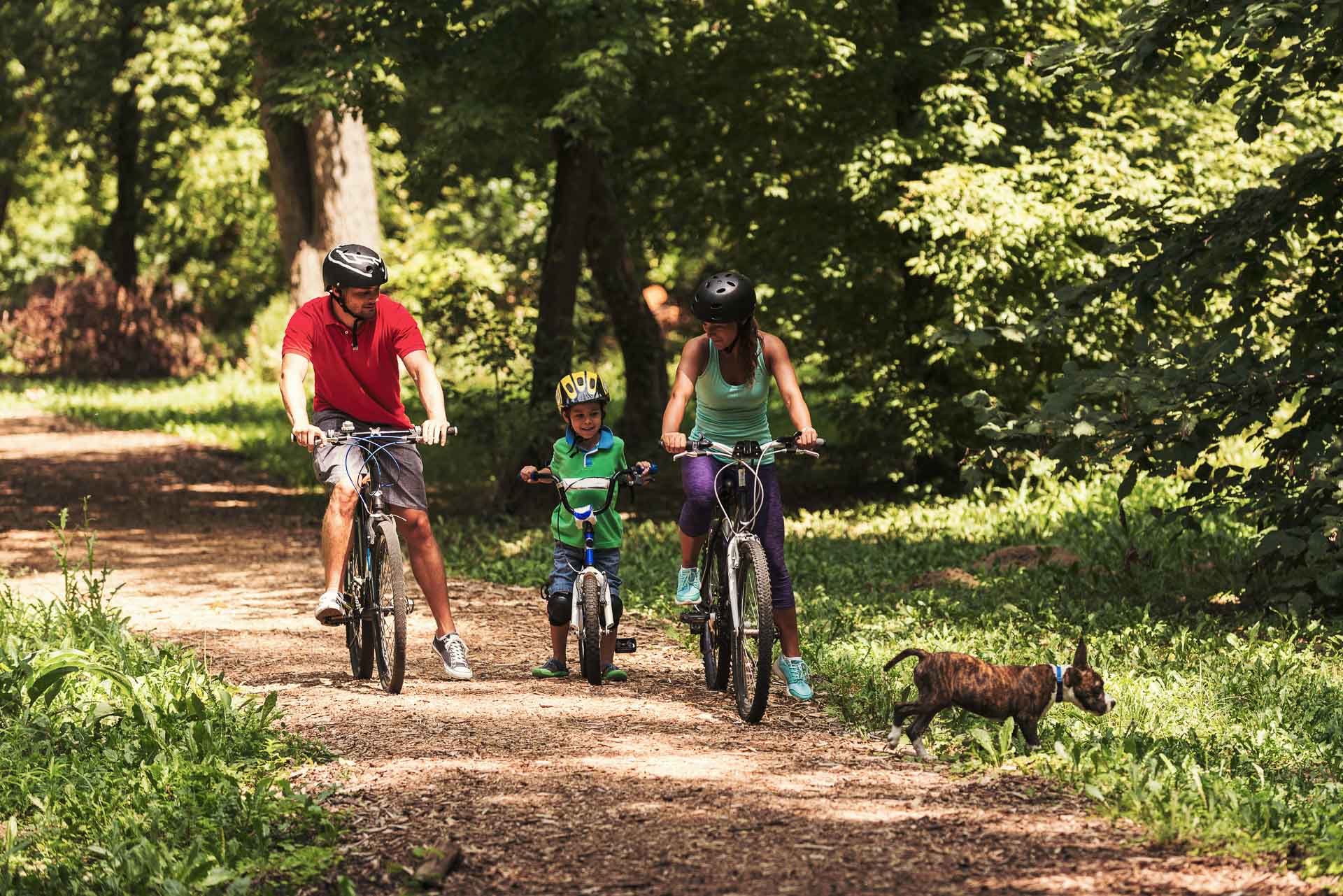 Family biking in forest with dog running next to them