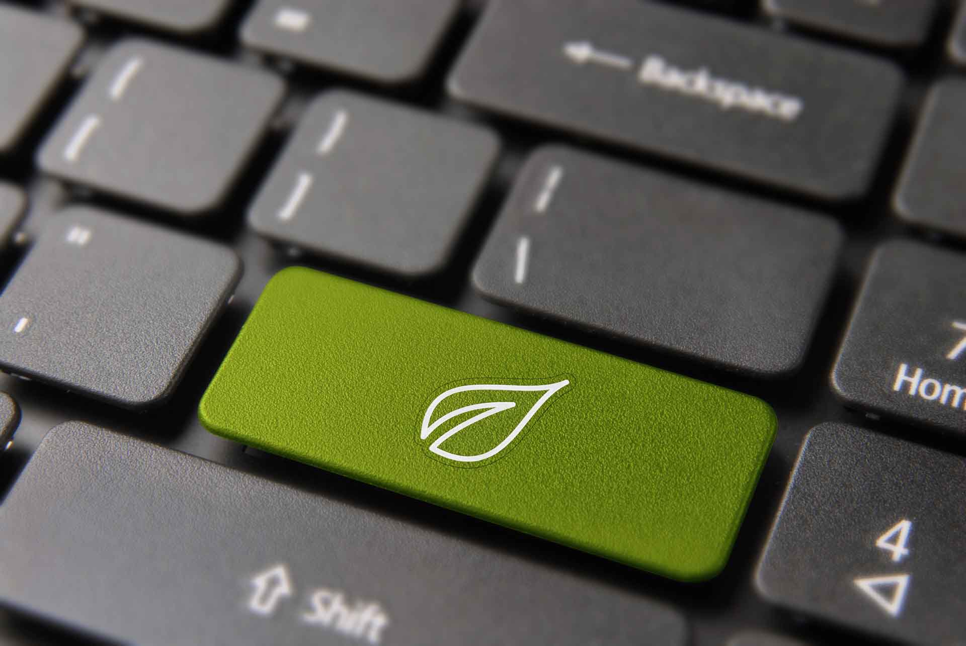 Laptop-Schlüssel mit modernem Baumblatt Line Art Symbol.