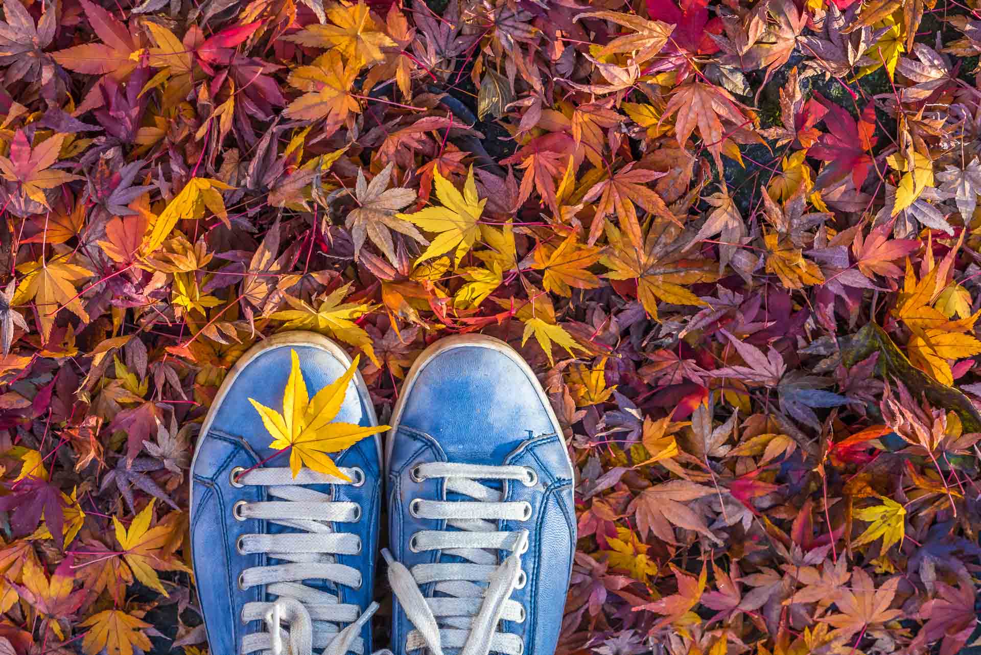 Saison d'automne en chaussures de style hipster