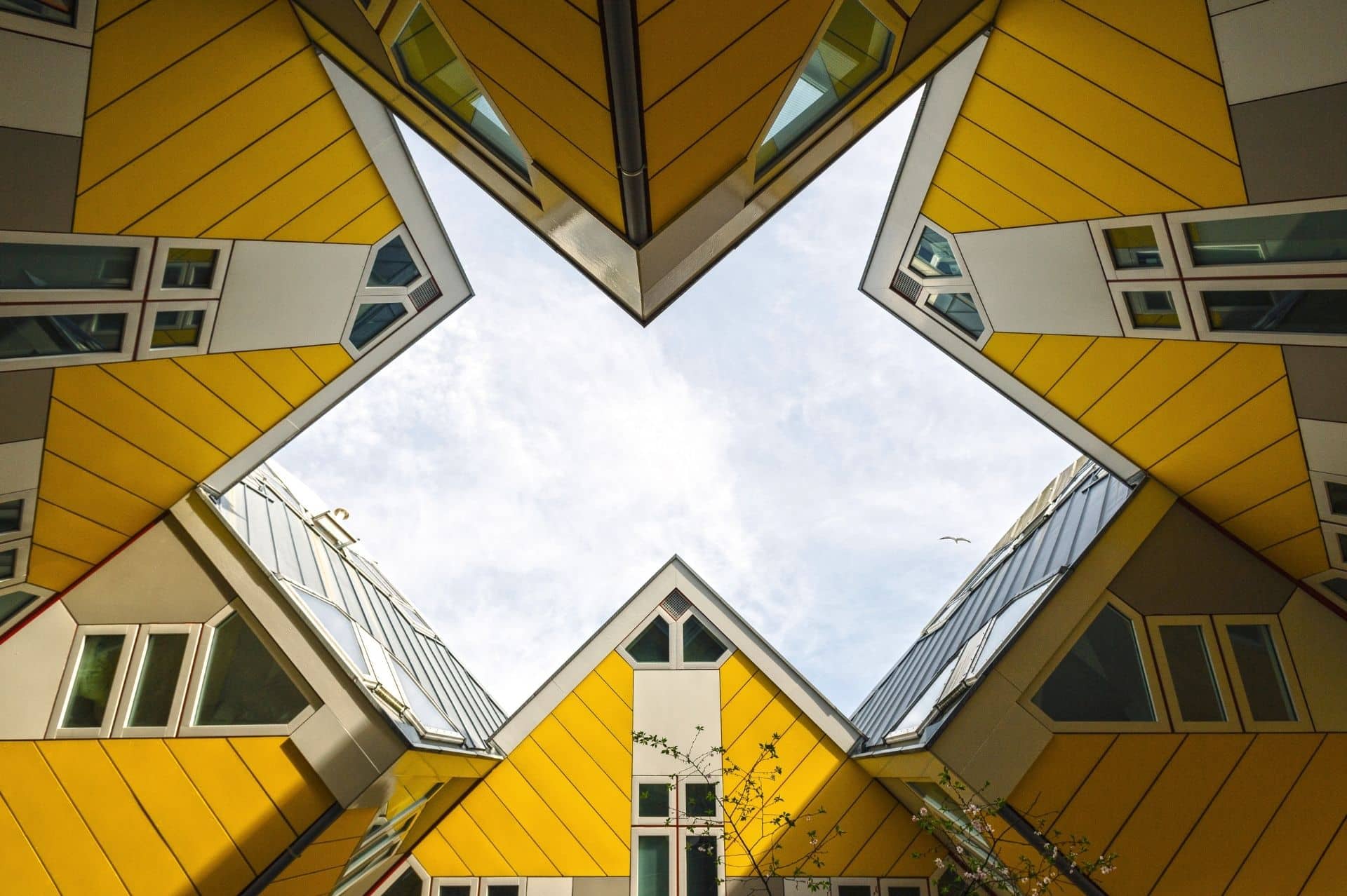 Rotterdamse kubuswoningen