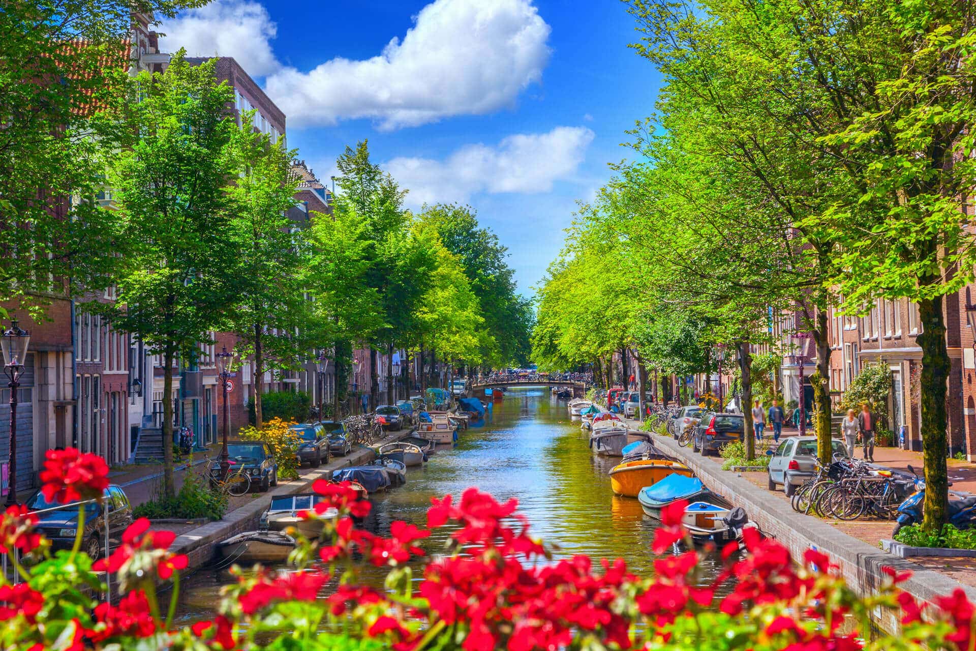 Amsterdam in de zomer Blog