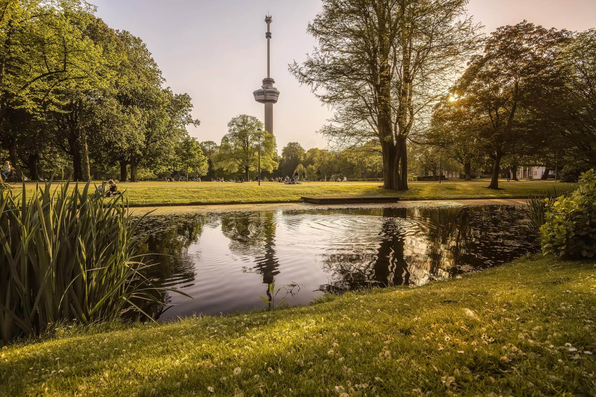 Rotterdam in de herfst Blog