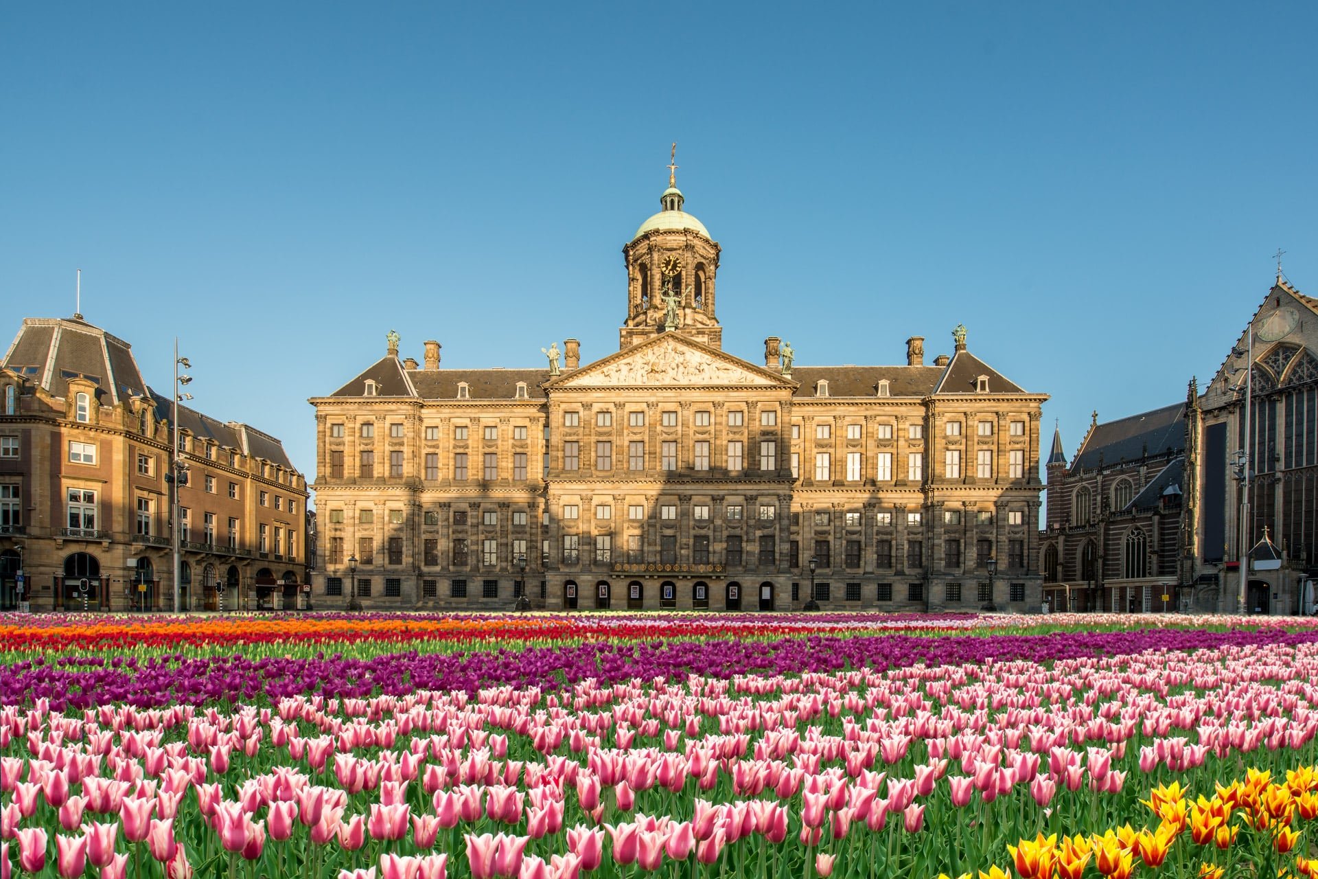 Nationale Tulpendag in Amsterdam