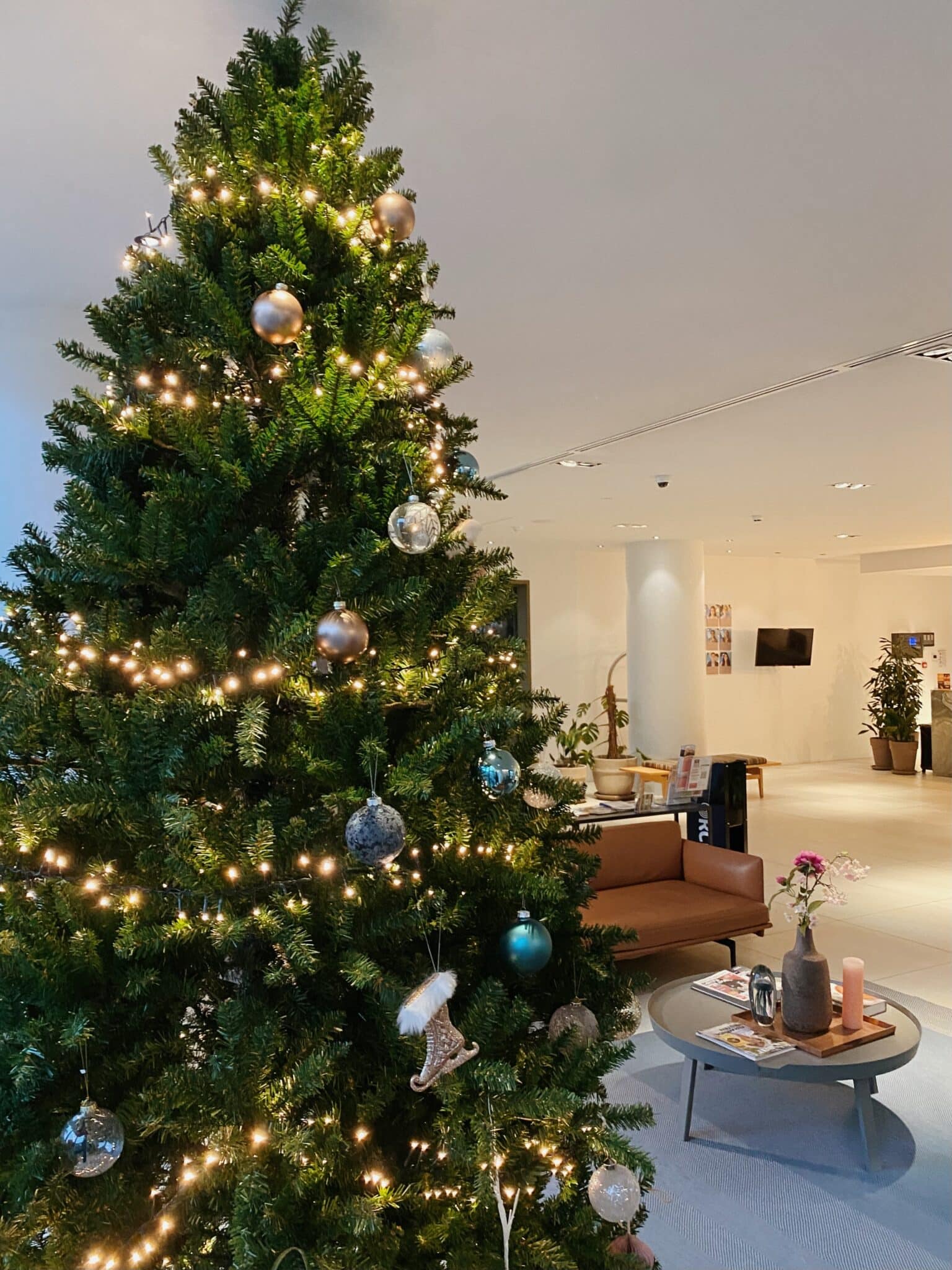 Weihnachtsbaum in den Premier Suites Apartments